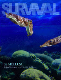 Survival - The Mollusc