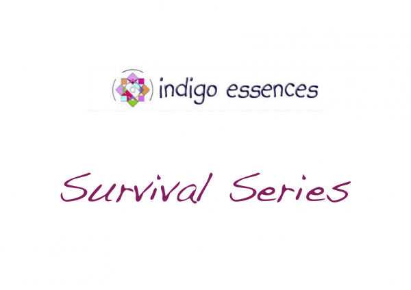 survival series