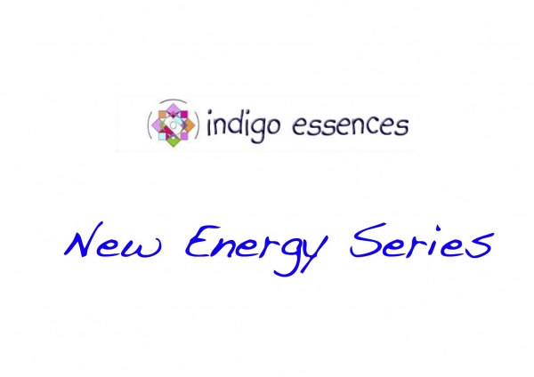 New Energy Series