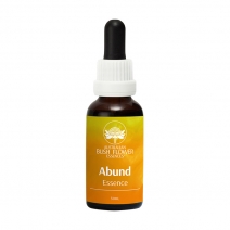 Abund Essence 30ml