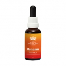 Dynamis Essence 30ml