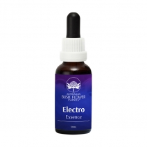 Electro Essence 30ml