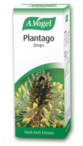 Plantago lanceolata 50ml