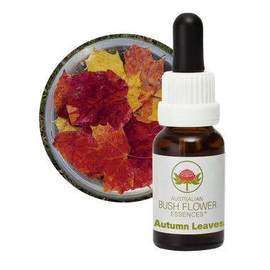 Autumn Leaves 15ml