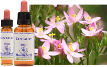 Centaury (30ml)