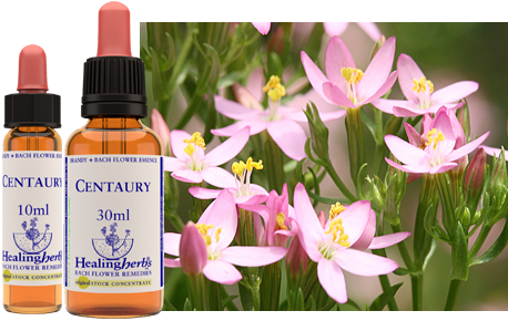 Centaury (30ml)