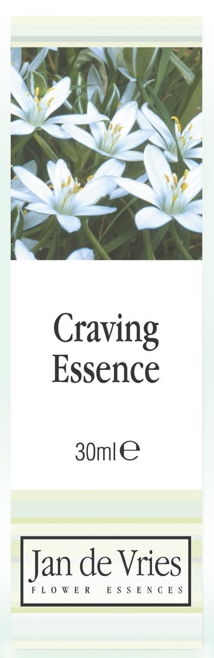 Jan de Vries Craving Essence 30ml