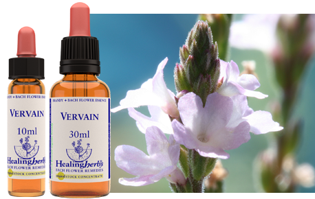 Vervain