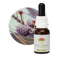 She Oak 15ml