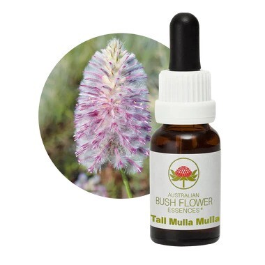 Tall Mulla Mulla 15ml