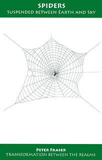 Spiders - Suspended between Earth and Sky