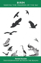 Birds, Seeking the Freedom of the Sky