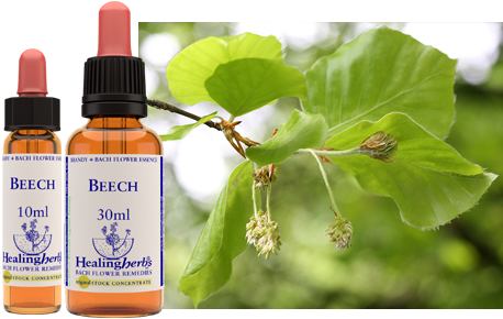 Beech (30ml)