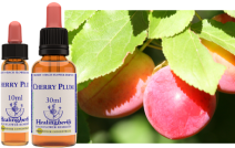 Cherry Plum (30ml)