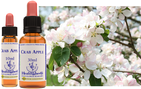 Crab Apple (30ml)