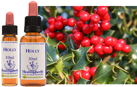 Holly