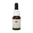 Black Eyed Susan 15ml