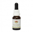 Sunshine Wattle 15ml