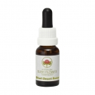 Sturt Desert Rose 15ml