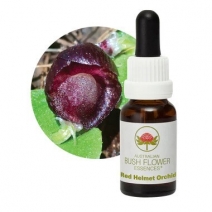 Red Helmet Orchid 15ml
