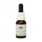 Red Helmet Orchid 15ml