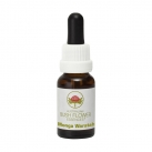 Monga Waratah 15ml