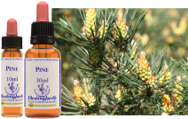 Pine - 30ML