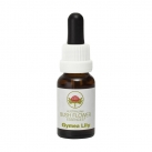 Gymea Lily 15ml