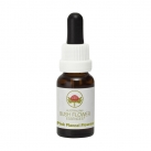 Pink Flannel Flower 15ml
