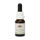 Freshwater Mangrove 15ml