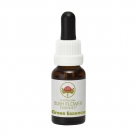 Green Essence 15ml