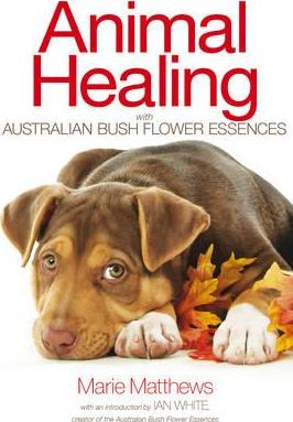 Animal Healing with Australian Bush Flower Essences