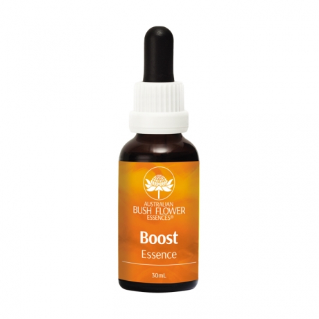 Boost Essence 30ml