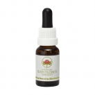 Dog Rose of the Wild Forces 15ml