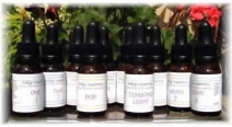 New Energy Series Essence No:3