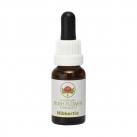 Hibbertia - 15ml