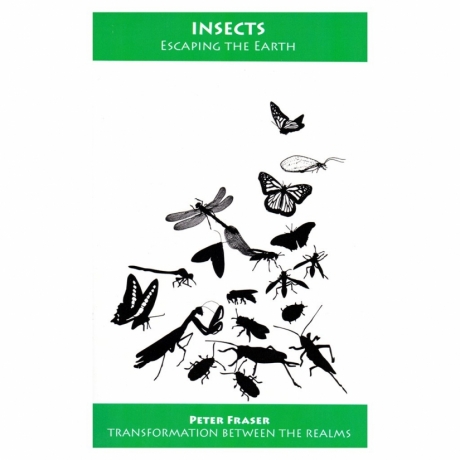 Insects: Escaping the Earth by Peter Fraser