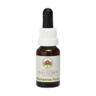 Kangaroo Paw - 15ml