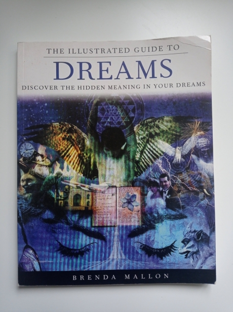 The Illustrated Guide to Dreams by Brenda Mallon