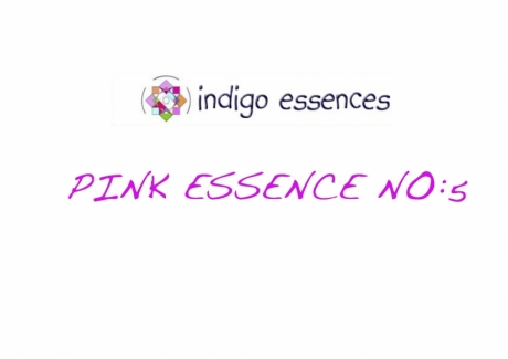 Pink Essence No:5