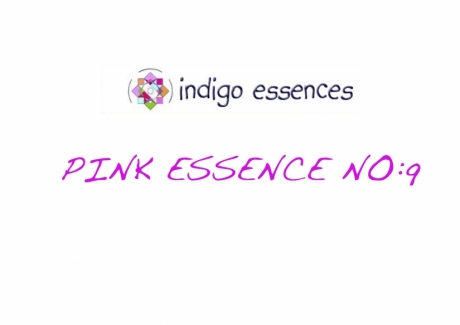 Pink Essence No:9