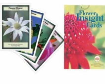 Flower Insight Cards (includes 69 cards)